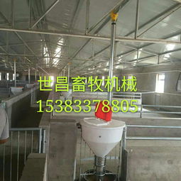 養(yǎng)豬設(shè)備廠供應(yīng)自動(dòng)下料桶 生產(chǎn)廠家、價(jià)格解析與羊場(chǎng)應(yīng)用前景